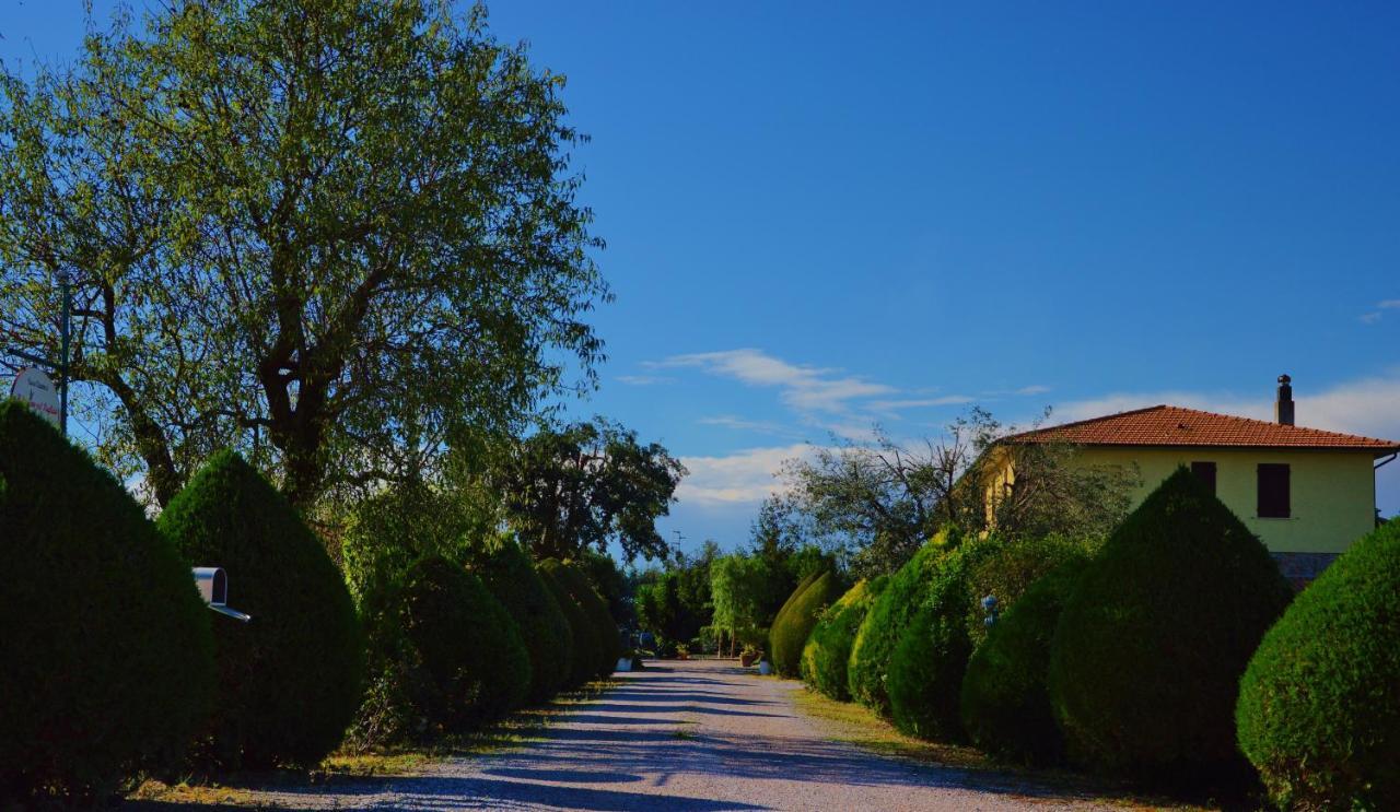 Agriturismo Il Cuscino Nel Pagliaio Campiglia Marittima Exterior photo