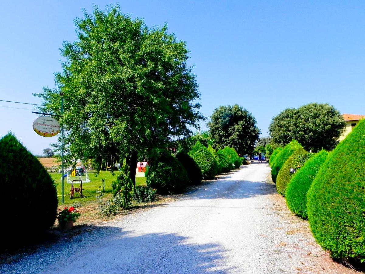 Agriturismo Il Cuscino Nel Pagliaio Campiglia Marittima Exterior photo