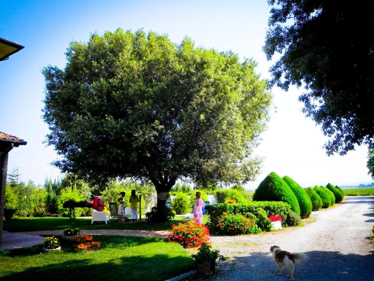 Agriturismo Il Cuscino Nel Pagliaio Campiglia Marittima Exterior photo